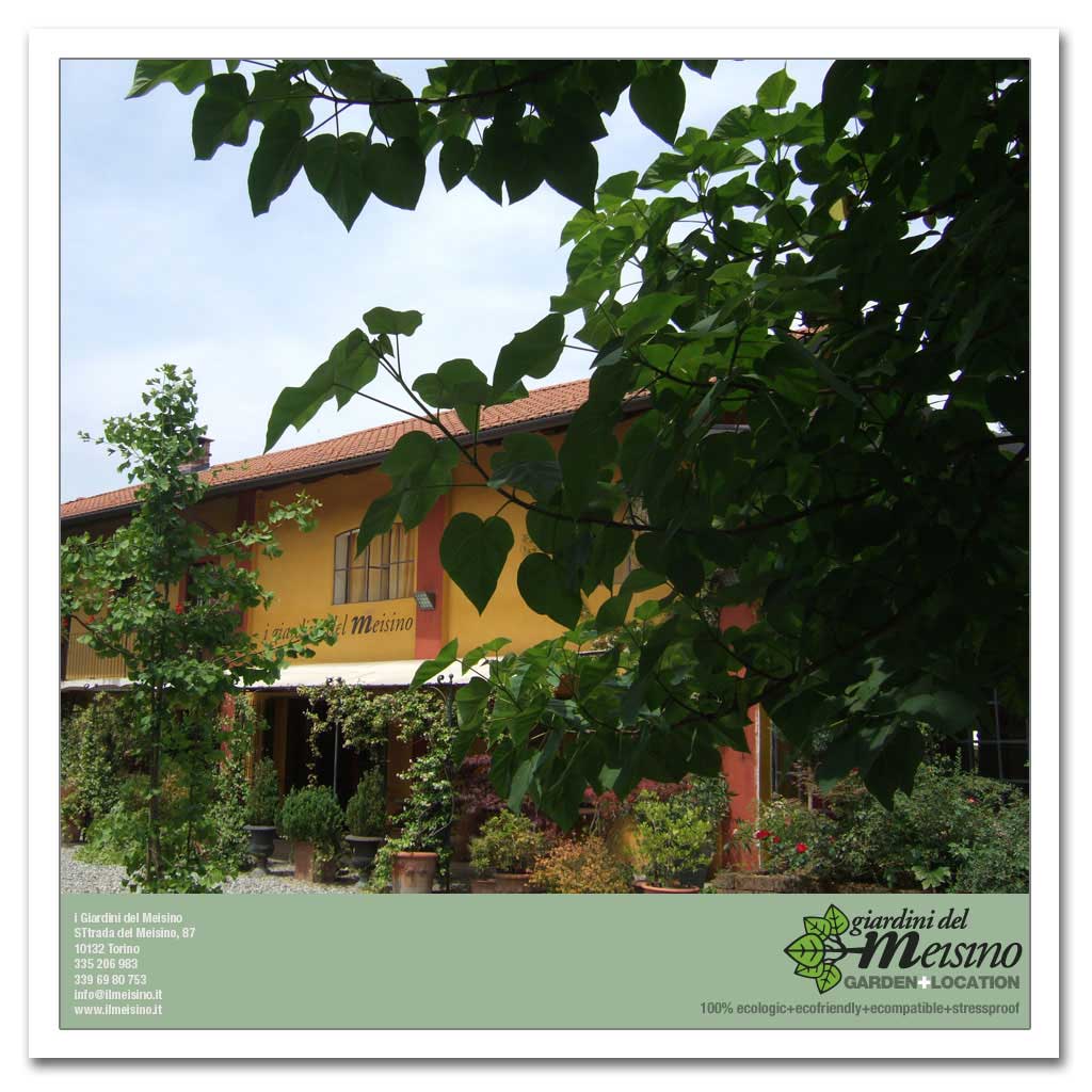 giardini meisino location torino 158